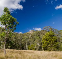 Brush Turkey track - Accommodation Melbourne