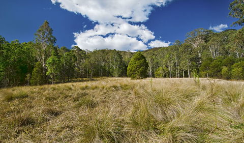 Brush Turkey Track - Accommodation Melbourne 1