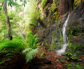 Fairy Bower Falls - Accommodation Melbourne 0