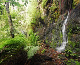 Fairy Bower Falls - Accommodation Melbourne 2