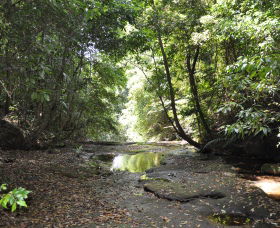 State Forests Of The Watagan Mountains - Accommodation Melbourne 1