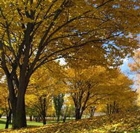 Centennial Park at Cooma - Accommodation Melbourne