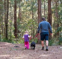 Olney State Forest - Watagan Mountains - Accommodation Melbourne