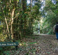 Basin Loop track - Accommodation Melbourne