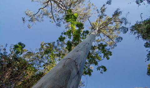 Basin Loop Track - Accommodation Melbourne 2