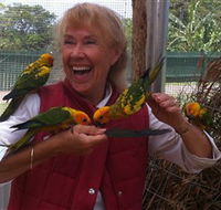 Maleny Botanic Gardens  Bird World - Accommodation Melbourne