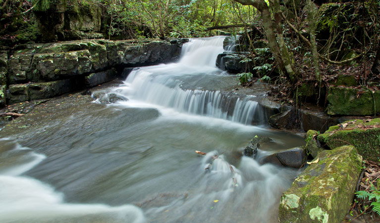 Bandon Grove NSW Accommodation Melbourne