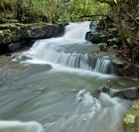 Jerusalem Creek trail - Accommodation Melbourne