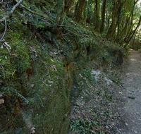 Hidden Treasure track - Accommodation Melbourne