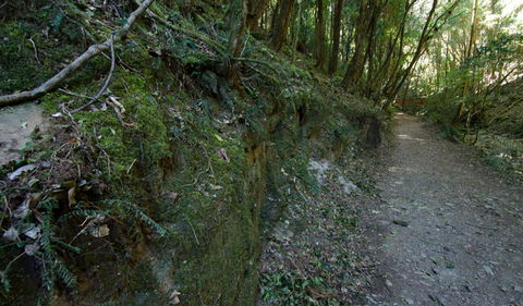 Hidden Treasure Track - Accommodation Melbourne 0