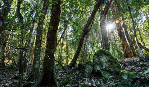 Hidden Treasure Track - Accommodation Melbourne 1