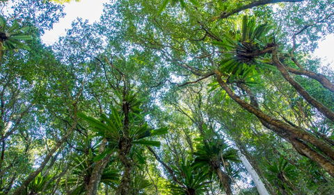Hidden Treasure Track - Accommodation Melbourne 2