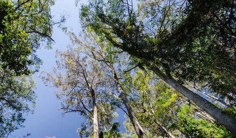 Hidden Treasure Track - Accommodation Melbourne 3