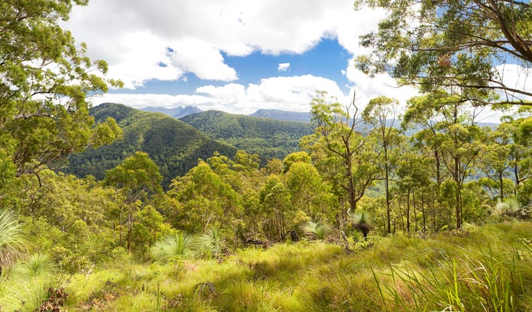Roseberry Creek ACT Accommodation Melbourne