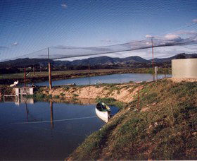 Trudgalong Farm - Accommodation Melbourne 1