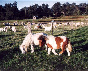Trudgalong Farm - Accommodation Melbourne 0