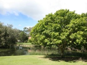 Hervey Bay Botanic Gardens - Accommodation Melbourne 0