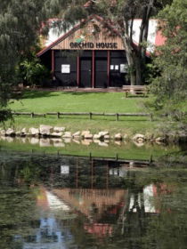 Hervey Bay Botanic Gardens - Accommodation Melbourne 1