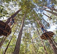 TreeTop Adventure Park Central Coast - Accommodation Melbourne