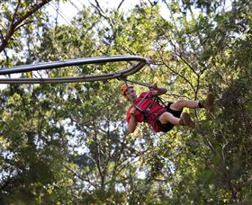 TreeTops Crazy Rider - Accommodation Melbourne 1