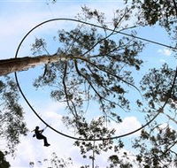 TreeTops Crazy Rider - Accommodation Melbourne