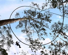 TreeTops Crazy Rider - Accommodation Melbourne 0