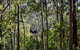 TreeTops Crazy Rider - thumb 3