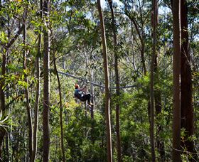 TreeTops Crazy Rider - Accommodation Melbourne 3
