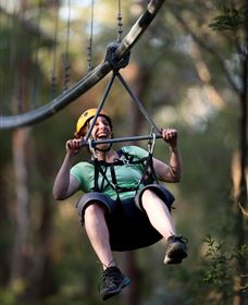 TreeTops Crazy Rider - Accommodation Melbourne 2
