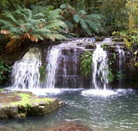 Barrington Tops National Park Walks - Accommodation Melbourne