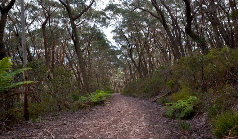 Yadboro NSW Accommodation Melbourne