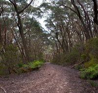 Budawang National Park - Accommodation Melbourne
