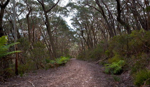Budawang National Park - Accommodation Melbourne 0