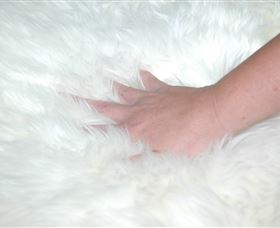 Mortels Sheepskin Factory - Accommodation Melbourne 4