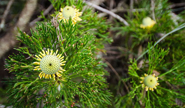 Mount Keira NSW Accommodation Melbourne