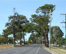 Anzac Memorial Avenue, Redcliffe - Accommodation Melbourne 2