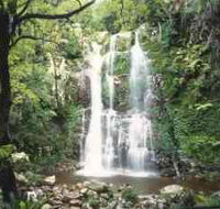 Budderoo National Park - The Falls Walk - Accommodation Melbourne