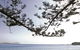 Terrigal Beach - thumb 0