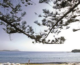 Terrigal Beach - Accommodation Melbourne 0