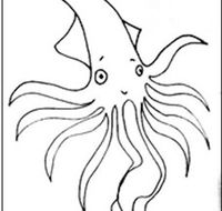 Squid Studio - Accommodation Melbourne