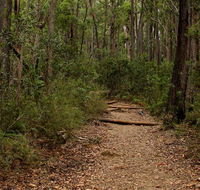 Pigeon House Mountain Didthul walking track - Accommodation Melbourne