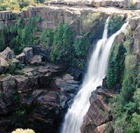 Minnamurra Rainforest Centre Budderoo National Park - Accommodation Melbourne