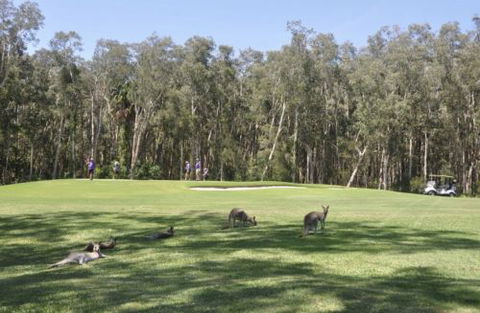 Emerald Downs Golf Course - Accommodation Melbourne 4