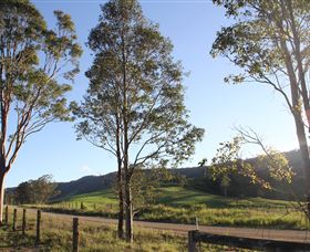 Tourist Drive 2 - Bucketts Way - Accommodation Melbourne 1