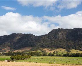 Tourist Drive 2 - Bucketts Way - Accommodation Melbourne 2