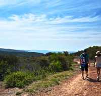 Moonee Beach trail - Accommodation Melbourne