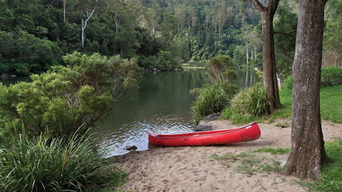 Nymboi-Binderay National Park - Accommodation Melbourne 1