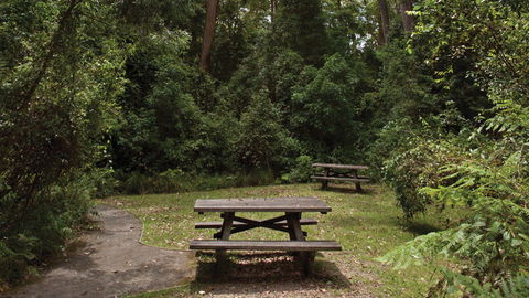 Nymboi-Binderay National Park - Accommodation Melbourne 3
