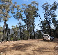 Wadbilliga Road drive - Accommodation Melbourne
