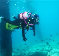 Shellharbour Scuba  Photography Centre - Accommodation Melbourne